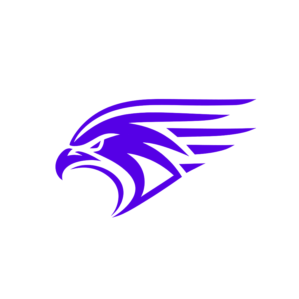 Snyx OS Logo